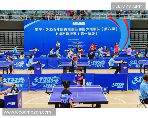 乒乓球团队协作实力榜单揭晓上海乒乓球队荣获第五名佳绩