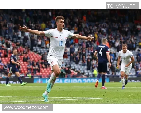 捷克足球明星希克的辉煌职业生涯与未来发展展望