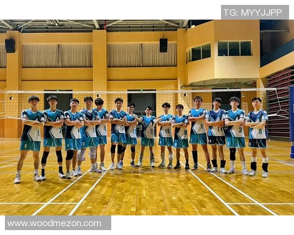 杭州排球队状态揭秘：排球巨献背后的训练与坚持