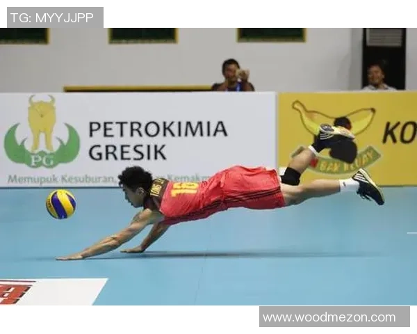 杨强独家分享排球技巧与心得助你提升竞技水平与团队配合能力