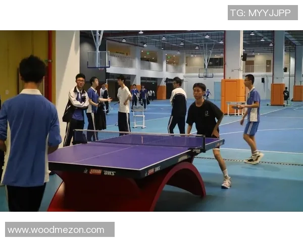 深圳乒乓球队比赛经验分享与成长之路的深度探讨